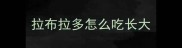 拉布拉多怎么吃长大