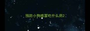 预防小狗感冒吃什么药