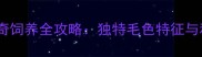 白毛红眼哈士奇饲养全攻略独特毛色特征与科学养护方法