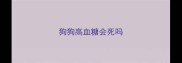狗狗高血糖会死吗