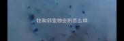牧和邻宠物会所怎么样
