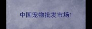 中国宠物批发市场