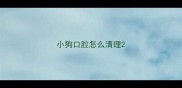 小狗口腔怎么清理