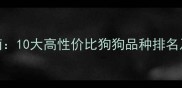 家庭饲养指南10大高性价比狗狗品种排名及科学养护全