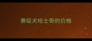 赛级犬哈士奇的价格