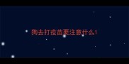 狗去打疫苗要注意什么