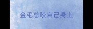 金毛总咬自己身上