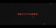 柯基犬几个月训教最佳