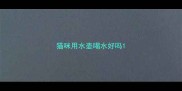 猫咪用水壶喝水好吗