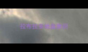 拉布拉多地盘意识
