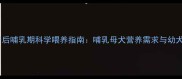 边境牧羊犬产后哺乳期科学喂养指南哺乳母犬营养需求与幼犬营养方案全