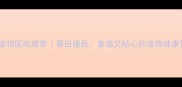 深圳宠物医院推荐景田趣致靠谱又贴心的宠物健康管家
