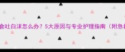 泰迪犬拒食吐白沫怎么办5大原因与专业护理指南附急救步骤