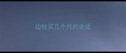 边牧买几个月的合适