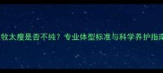 边牧太瘦是否不纯专业体型标准与科学养护指南