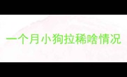 一个月小狗拉稀啥情况