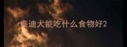 泰迪犬能吃什么食物好