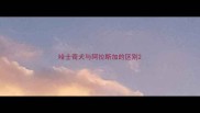 哈士奇犬与阿拉斯加的区别
