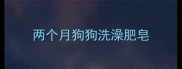 两个月狗狗洗澡肥皂
