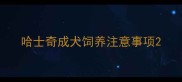 哈士奇成犬饲养注意事项
