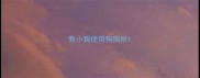 教小狗使用狗厕所