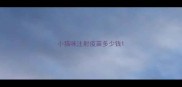 小猫咪注射疫苗多少钱