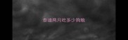 泰迪两月吃多少狗粮