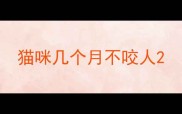 猫咪几个月不咬人
