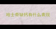 哈士奇缺钙有什么表现