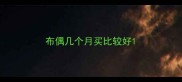 布偶几个月买比较好