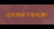 边牧狗能不能吃糖