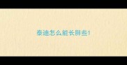 泰迪怎么能长胖些