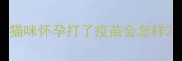 猫咪怀孕打了疫苗会怎样