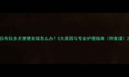 拉布拉多犬便便发绿怎么办5大原因与专业护理指南附食谱