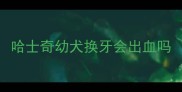 哈士奇幼犬换牙会出血吗