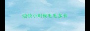 边牧小时候毛毛多长