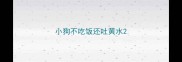小狗不吃饭还吐黄水