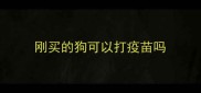 刚买的狗可以打疫苗吗