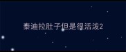 泰迪拉肚子但是很活泼