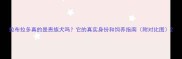 拉布拉多真的是贵族犬吗它的真实身份和饲养指南附对比图