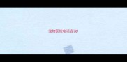 宠物医院电话咨询