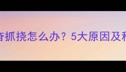 猫咪半夜兴奋抓挠怎么办5大原因及科学应对指南