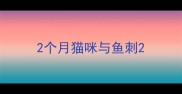 2个月猫咪与鱼刺