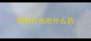 狗狗打虫吃什么药