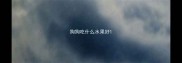 狗狗吃什么水果好