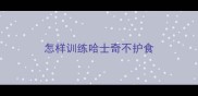 怎样训练哈士奇不护食