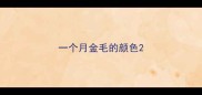 一个月金毛的颜色