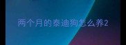 两个月的泰迪狗怎么养