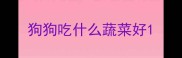 狗狗吃什么蔬菜好
