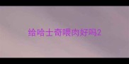 给哈士奇喂肉好吗